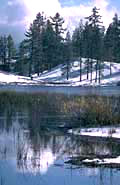 Winter Winter